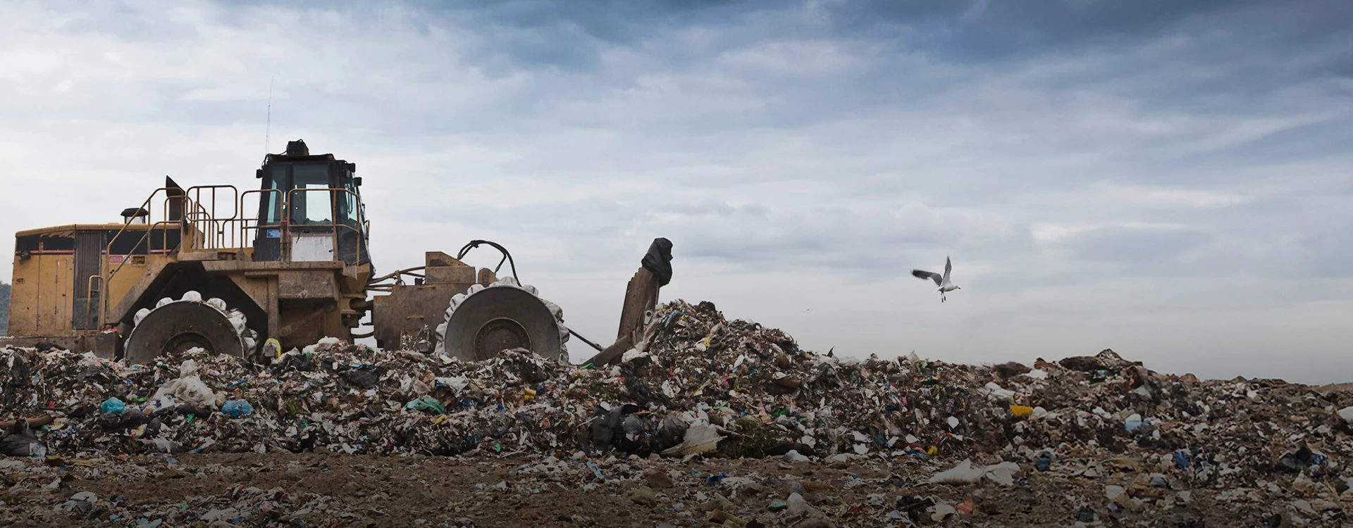 csg-food-waste-in-the-uk-hero-1920x750-1728644435.jpg